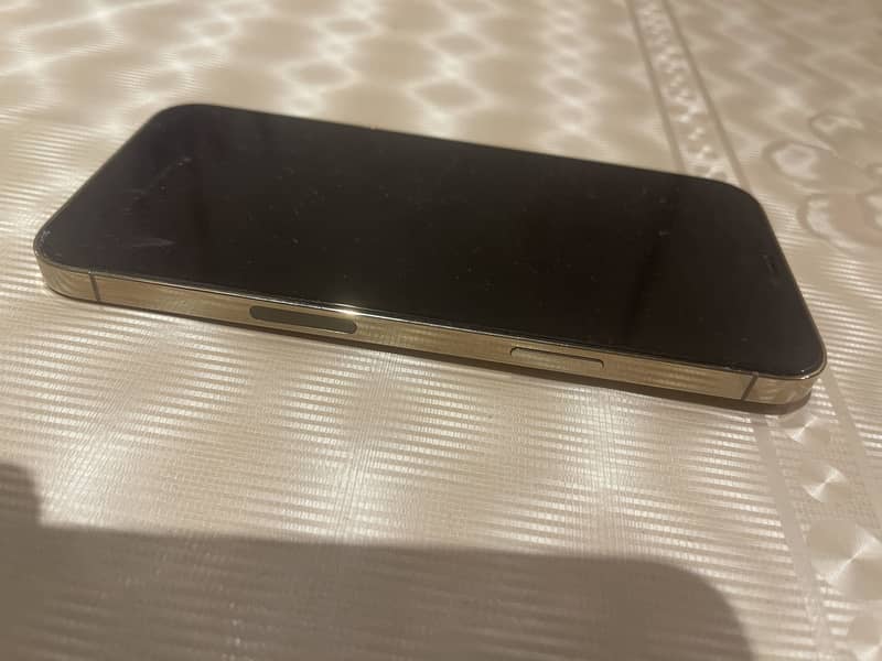Apple iPhone 12 Pro Max 1