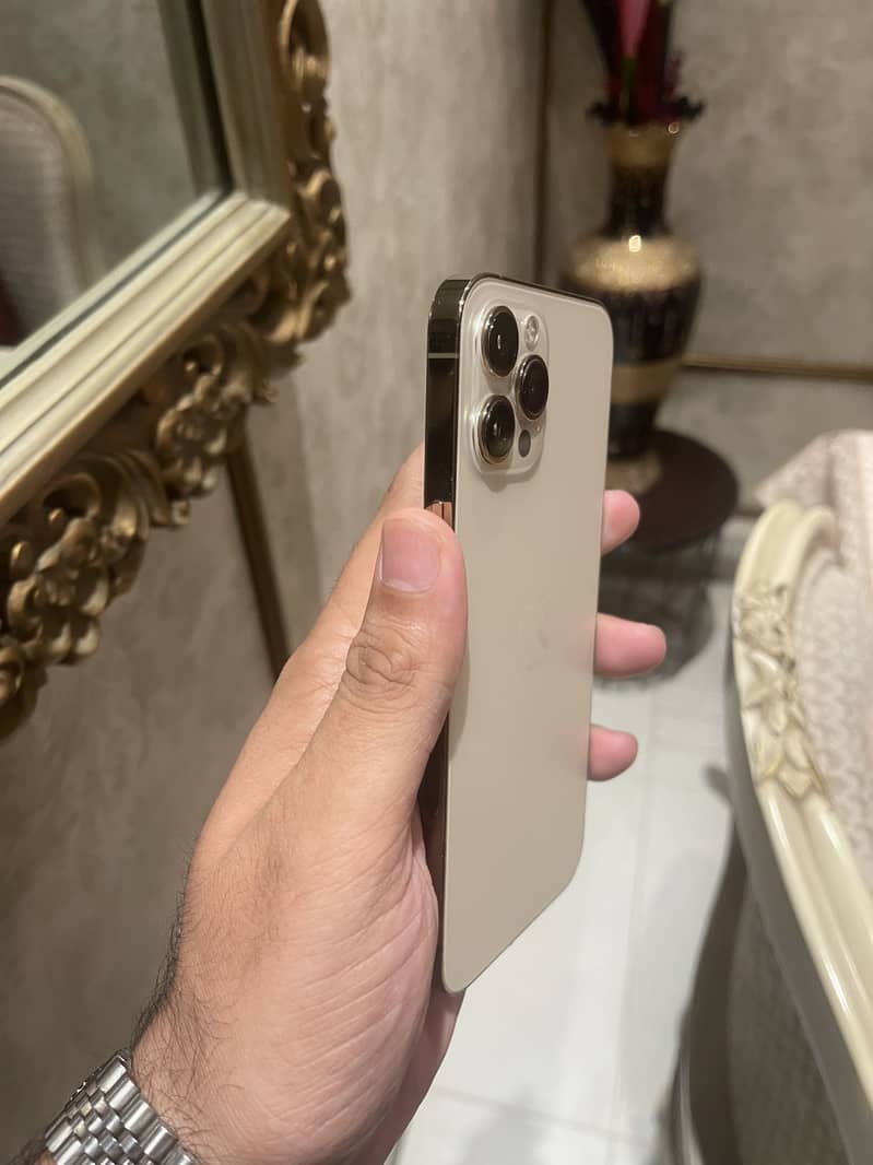 Apple iPhone 12 Pro Max 2