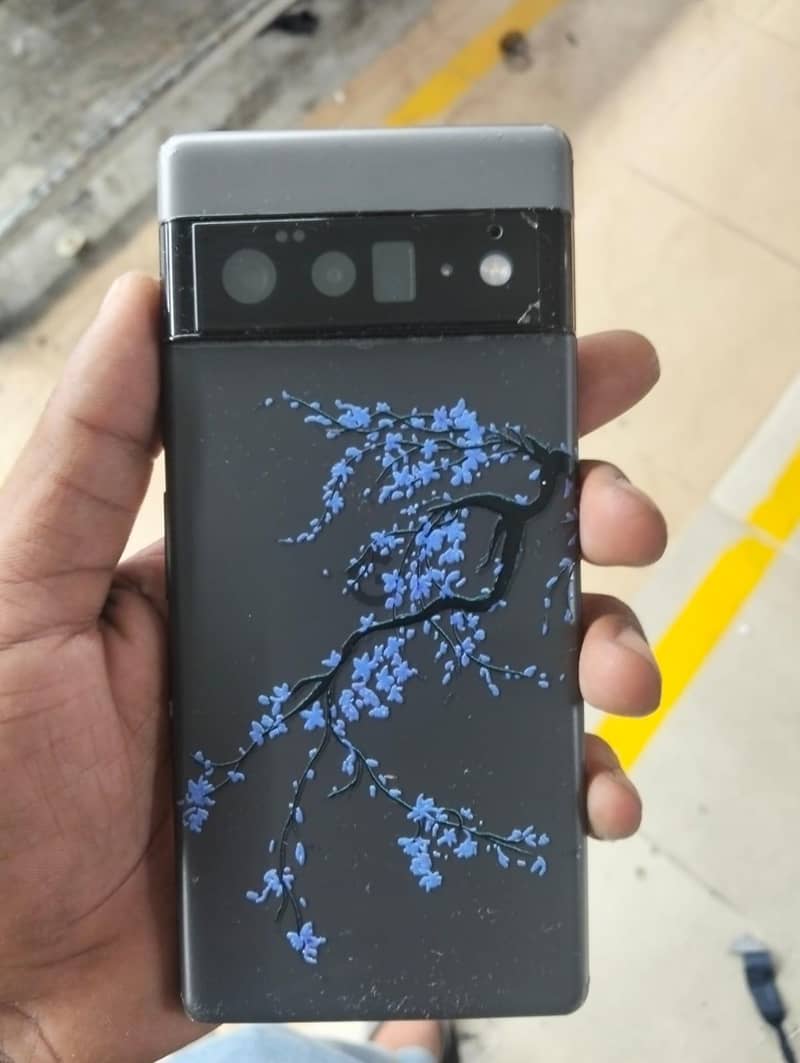 Google Pixel 6 Pro 1