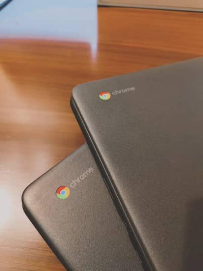 Dell 3100