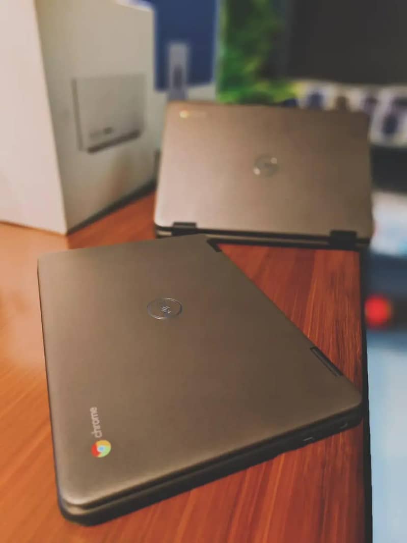Dell 3100 1