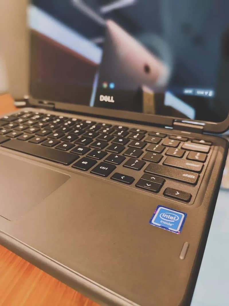 Dell 3100 3