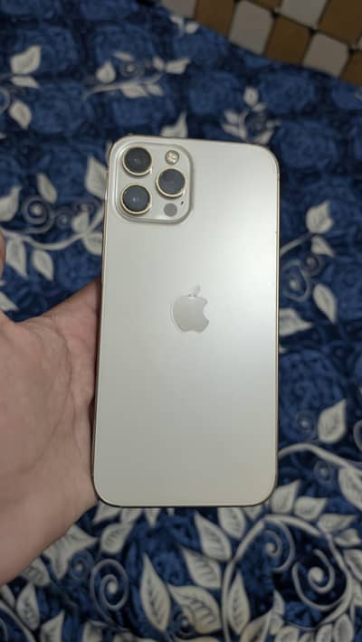 Apple iPhone 12 Pro Max