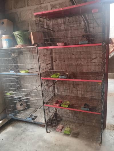 lovebirds cage 15000