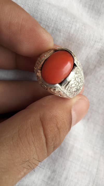 Natural Italian Coral Marjan Silver Ring