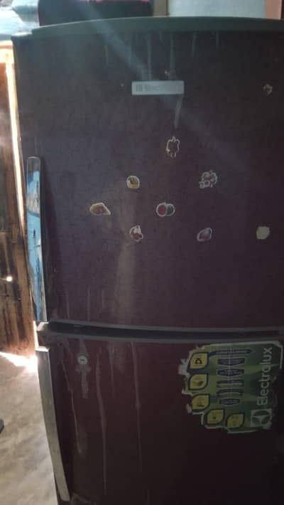 Electrolux refrigerator