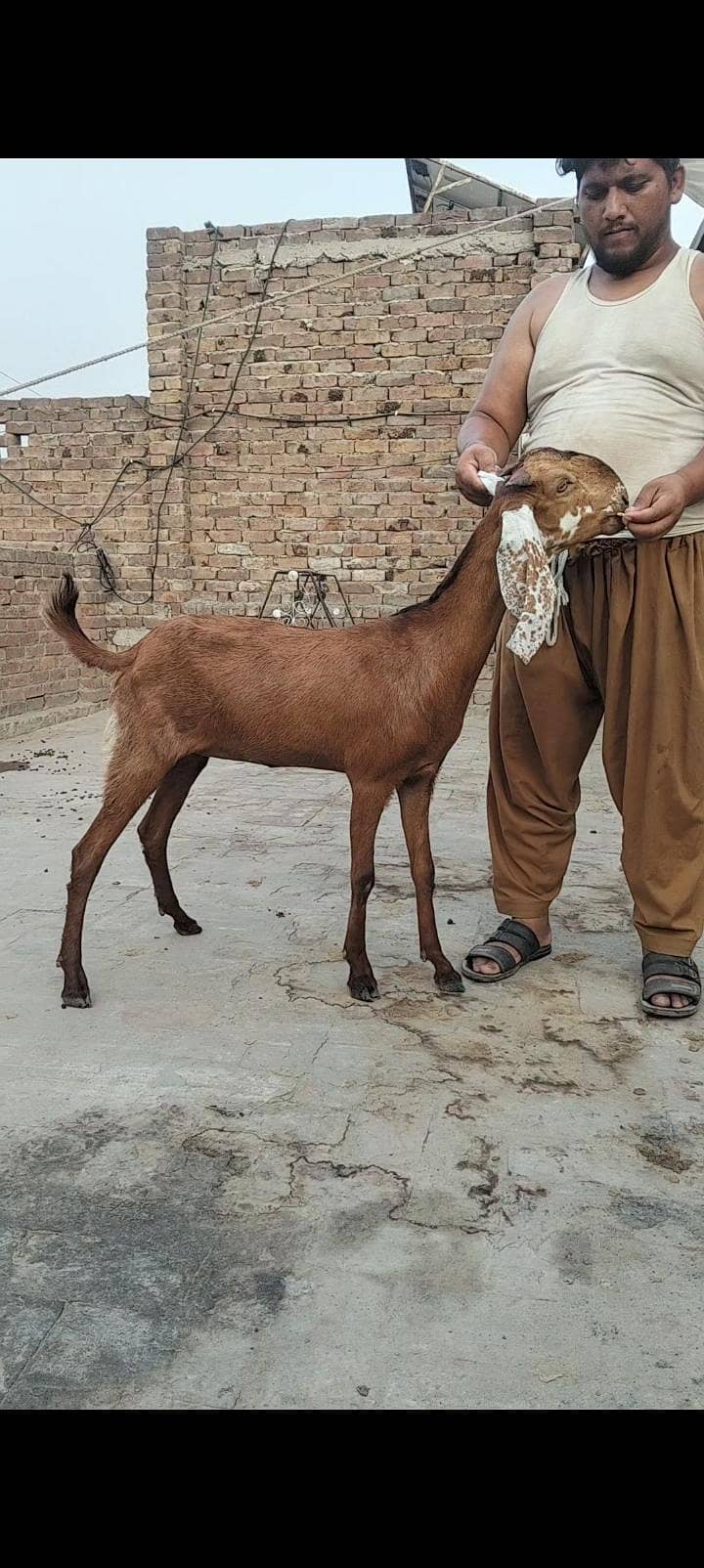 nagari Patha 1