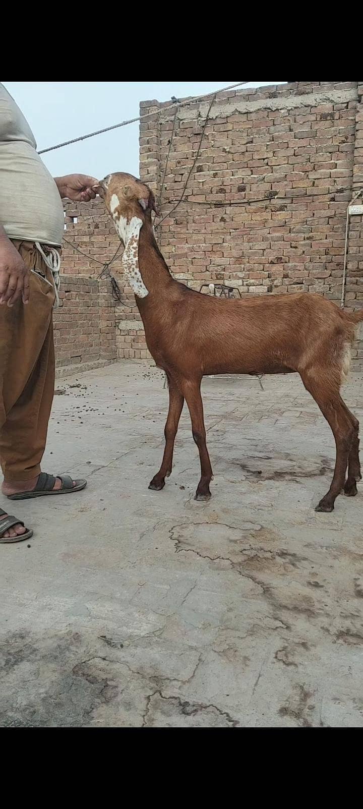 nagari Patha 4