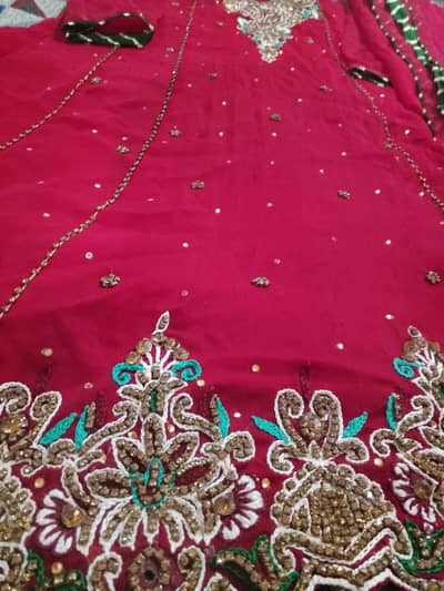 girls froq medium size