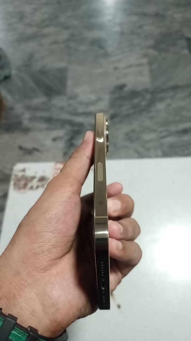 Apple iPhone 13 Pro Max 2