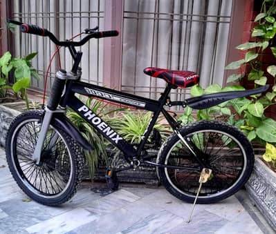 kids bicycle