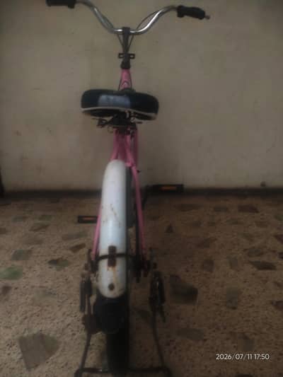 ladies cycle