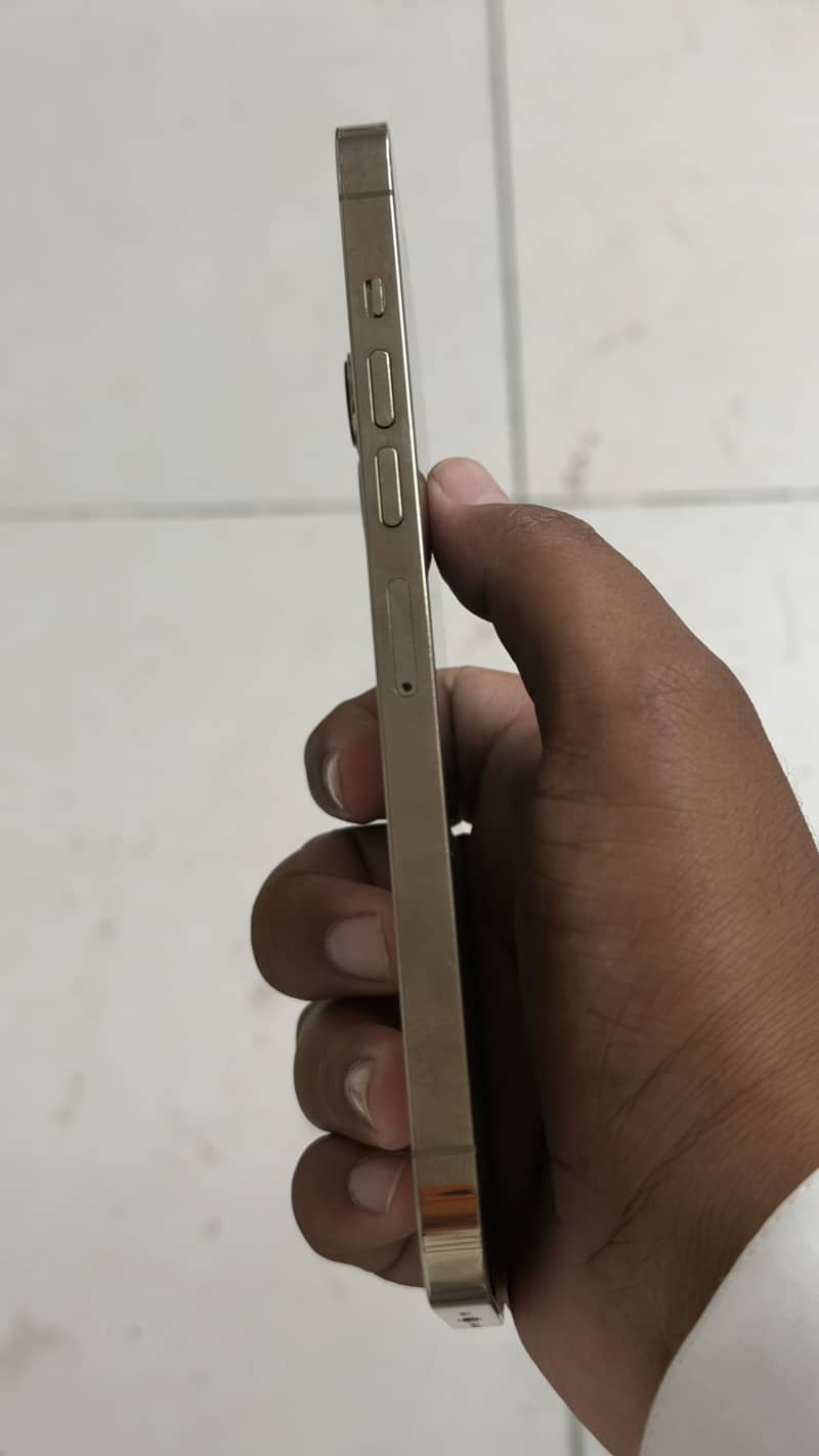 Apple iPhone 12 Pro Max 1