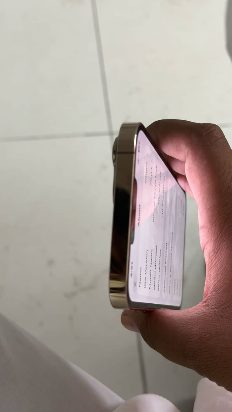 Apple iPhone 12 Pro Max 2