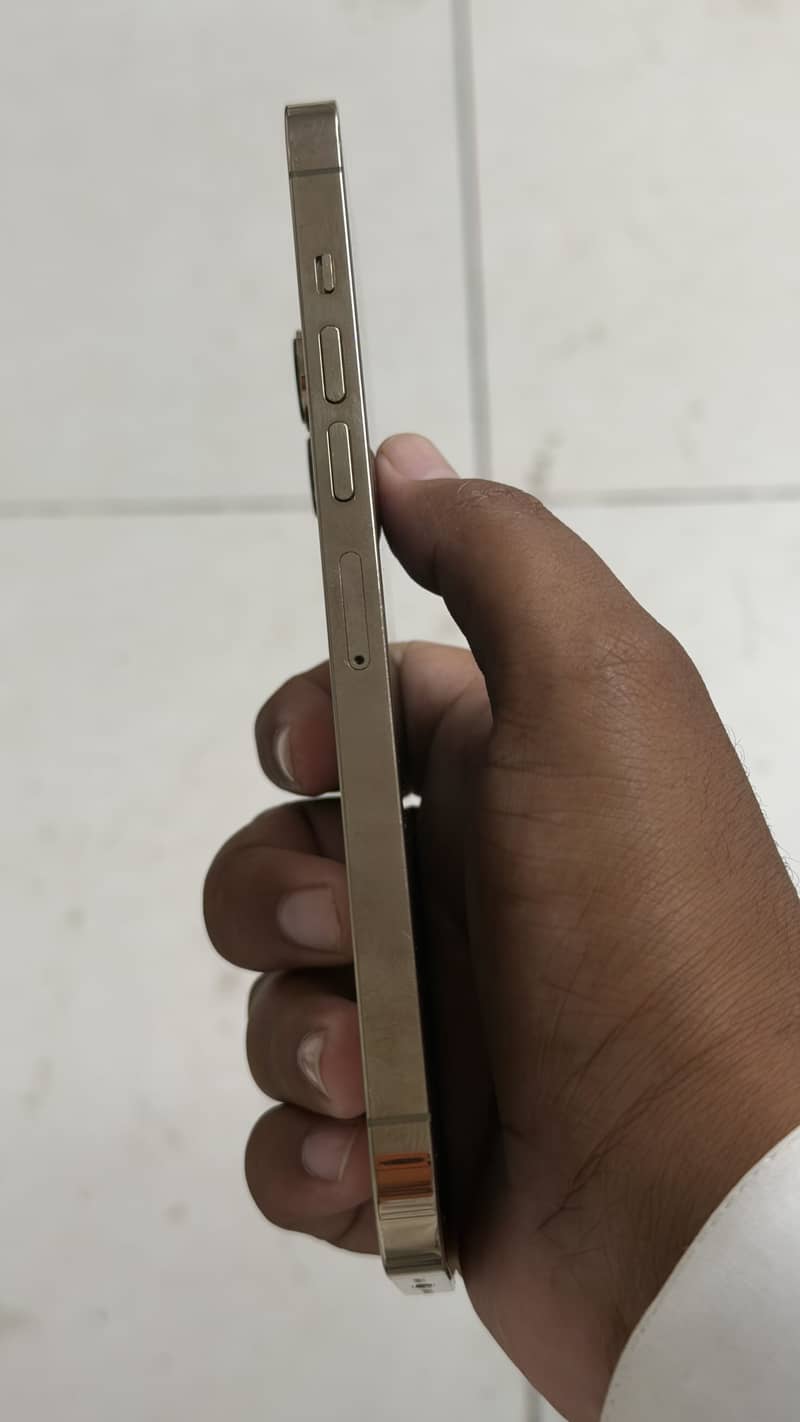 Apple iPhone 12 Pro Max 3