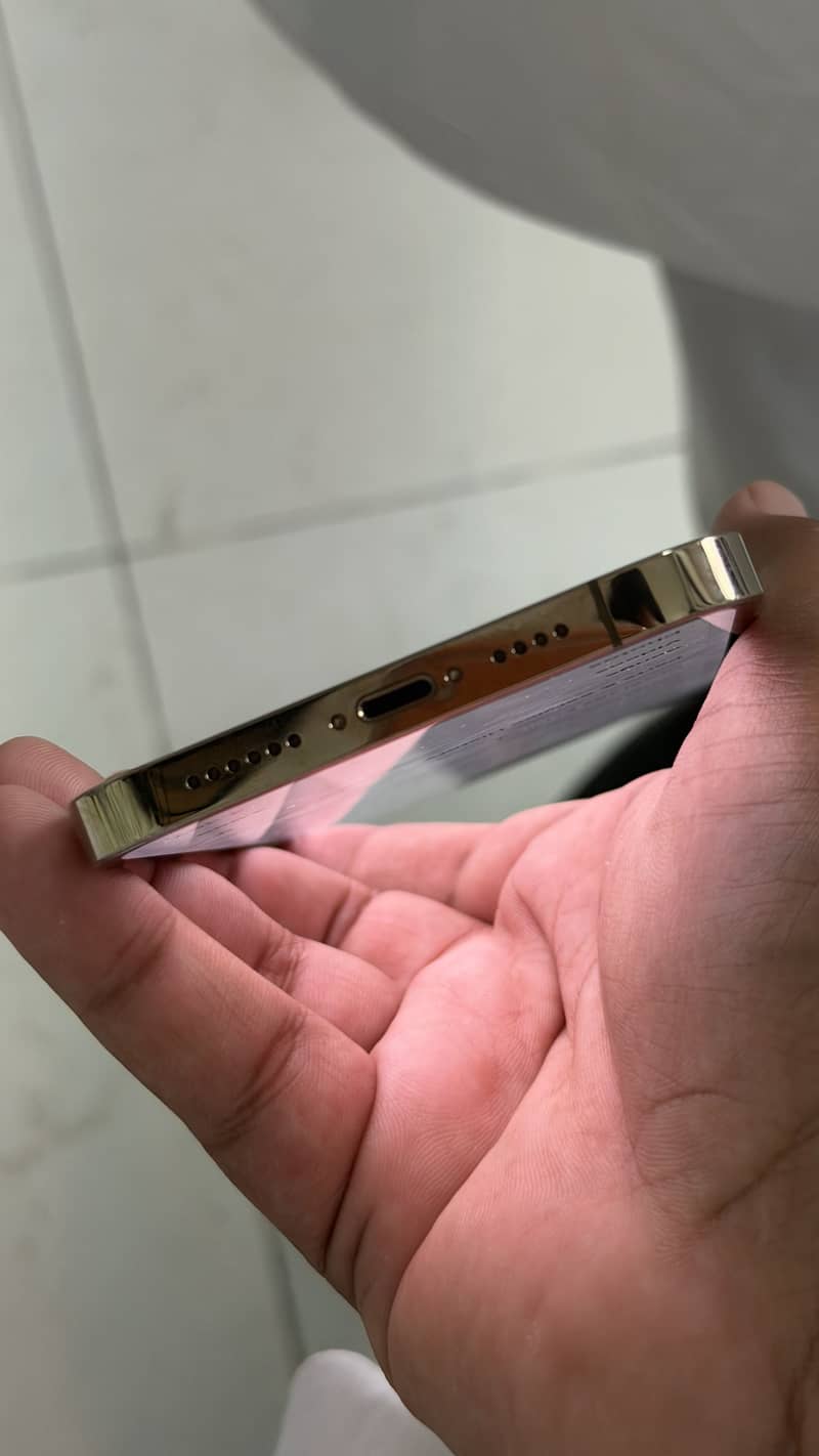 Apple iPhone 12 Pro Max 5