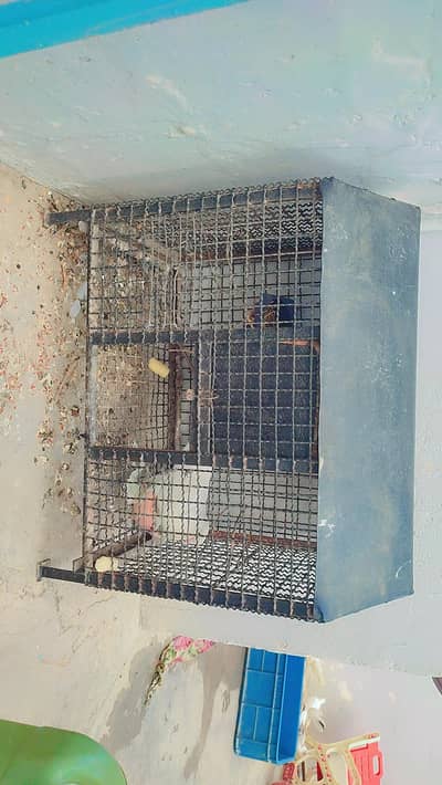 Pinjra / Cage Heavy-duty