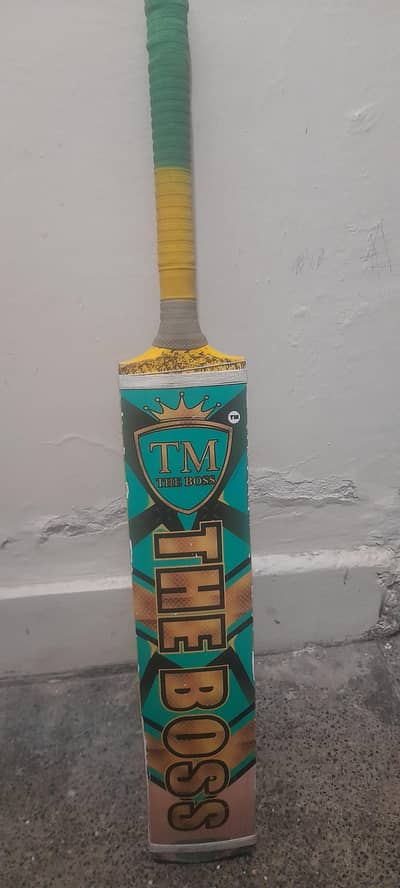 cricket bat