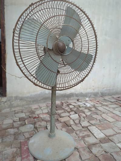 Pedestal Fan
