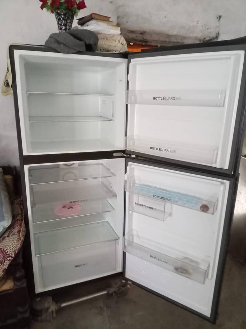 Freez 1