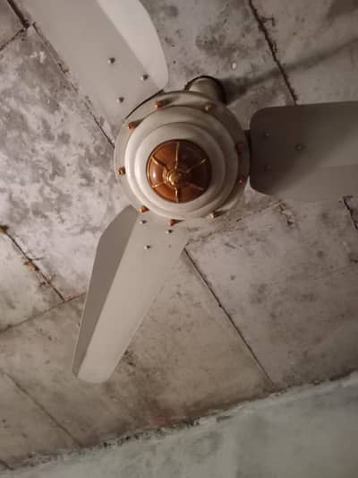 ceiling fan