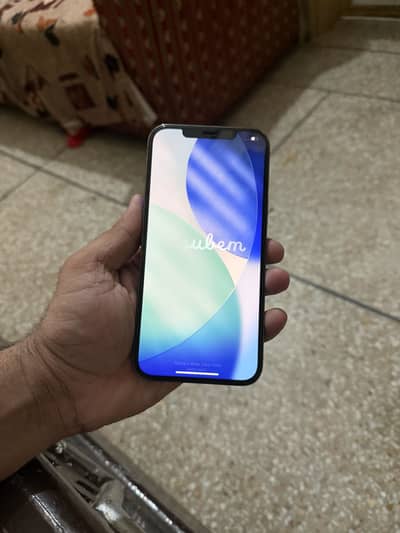 Apple iPhone 12 Pro Max