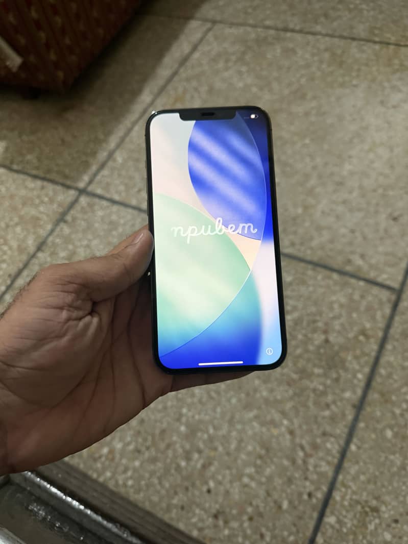 Apple iPhone 12 Pro Max 12