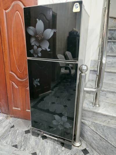 Pel Fridge Double Door featuring Floral Black Glass 9/10 7 Cubic Feet