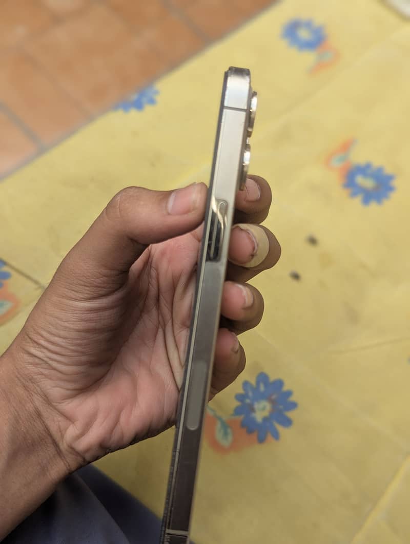 Apple iPhone 12 Pro Max 0