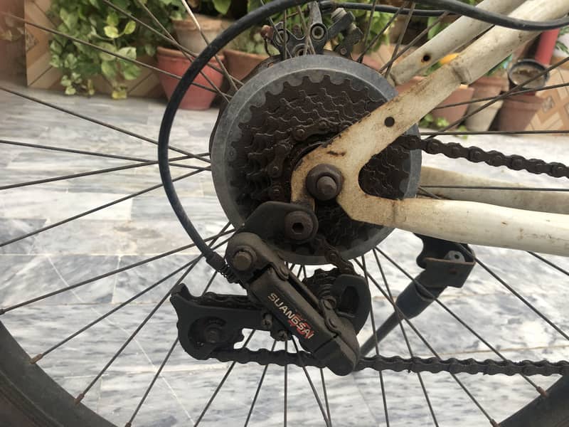Bicycle (Yistar) Imported 4