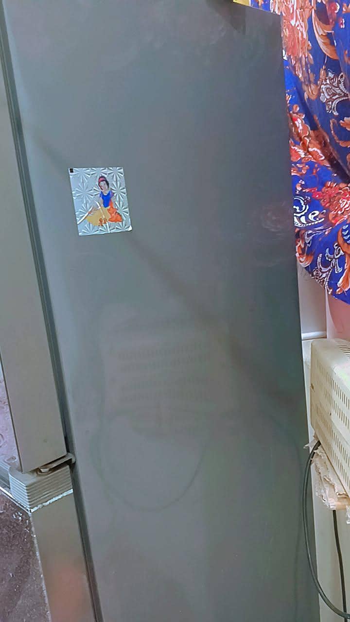Haier Fridge 5