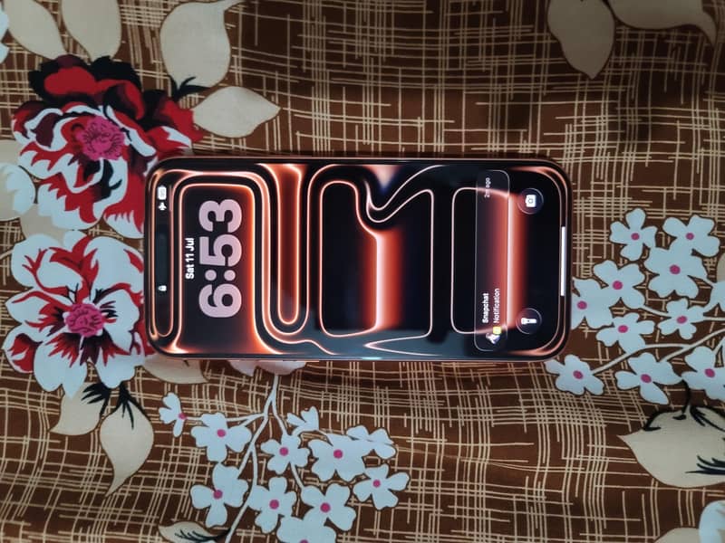 Apple iPhone 17 Pro Max 0