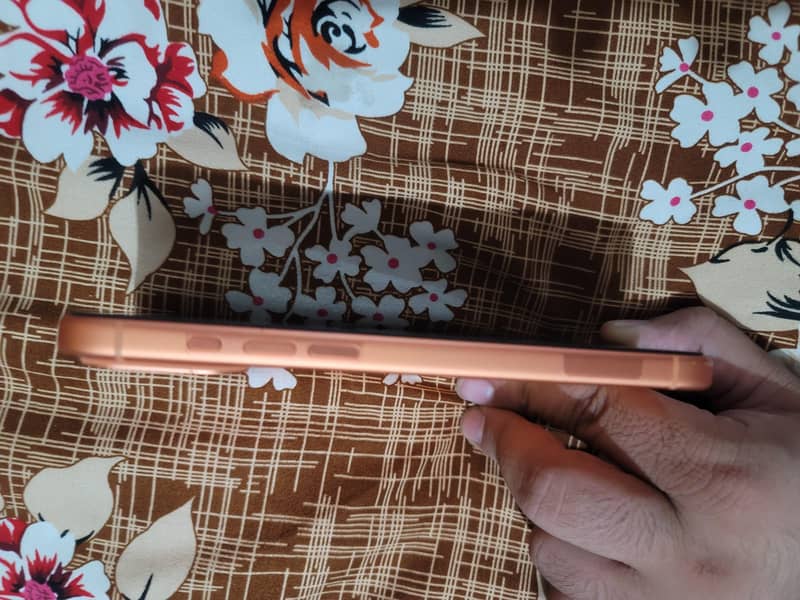 Apple iPhone 17 Pro Max 3