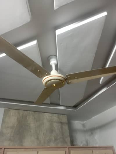 Fan Falcon Pure Copper 100% Working