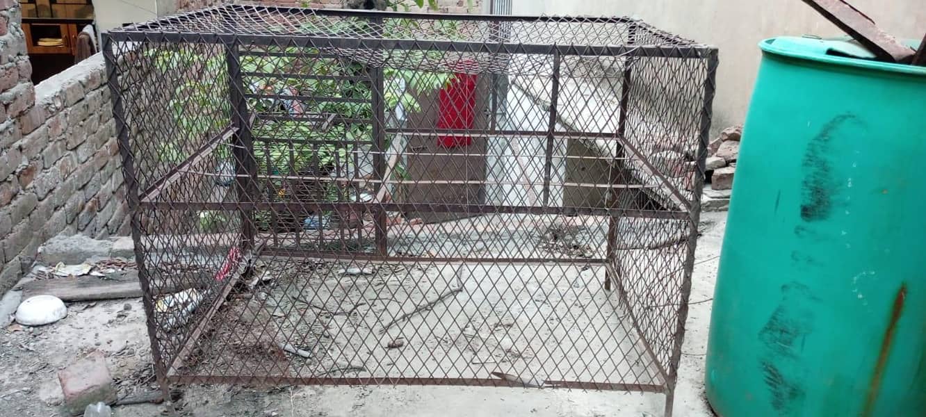 Hens & Pigeon Cage 1