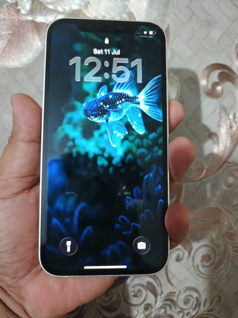Apple iPhone 12 0
