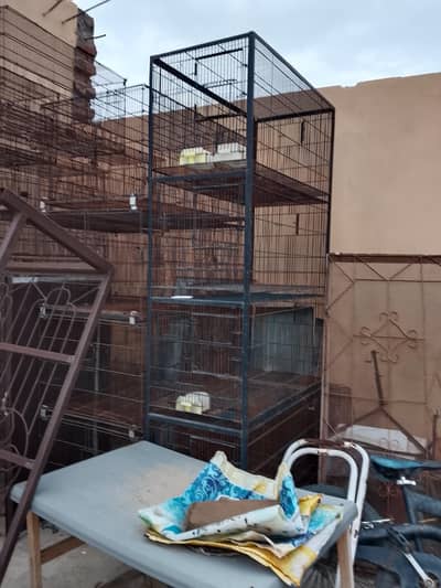 Birds cages