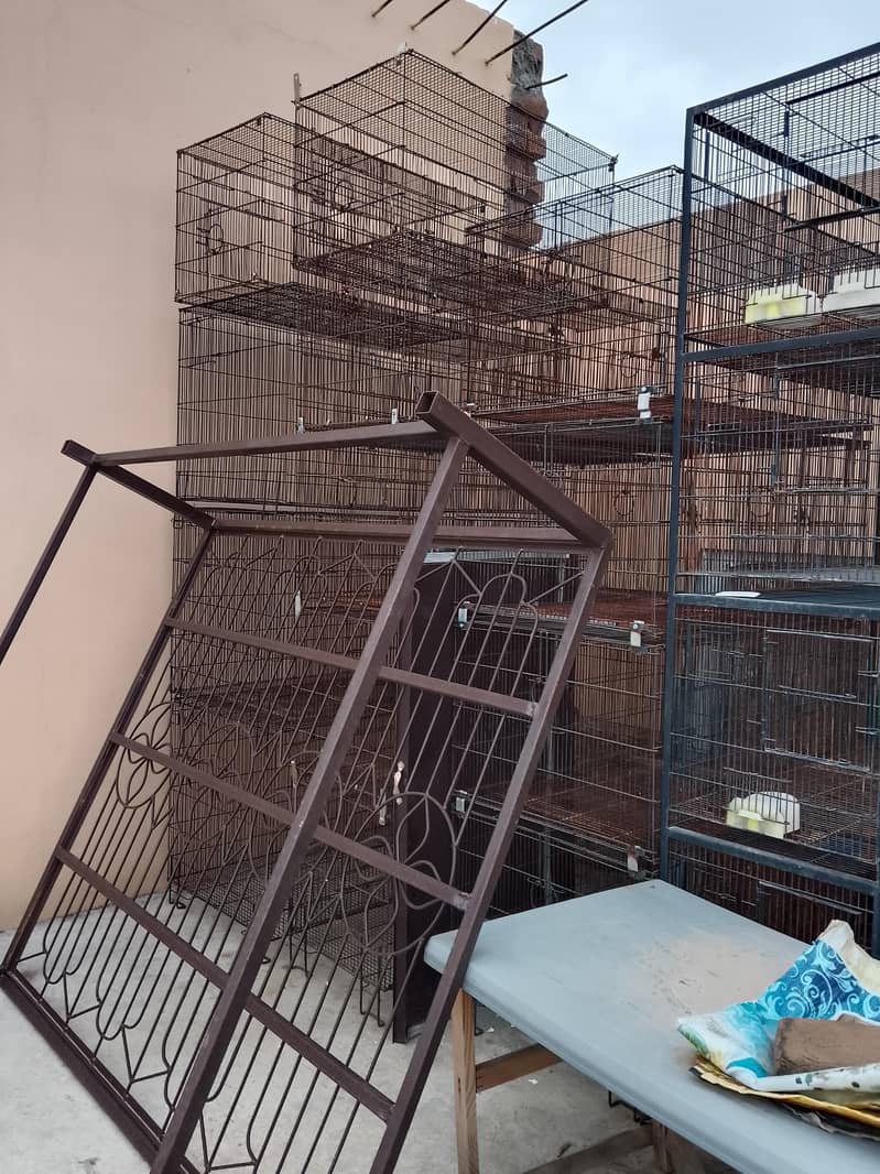 Birds cages 1