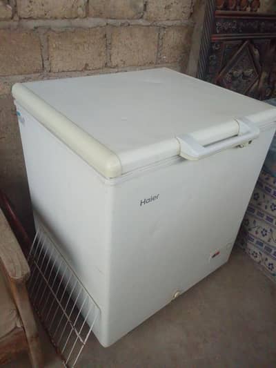 used D frizzier