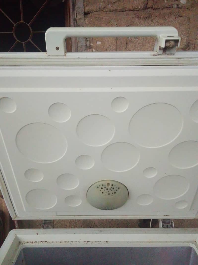 used D frizzier 5