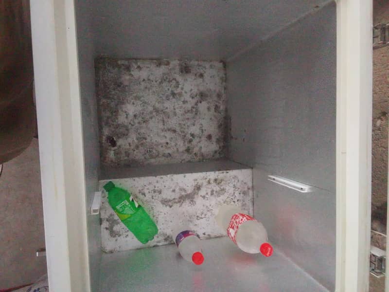 used D frizzier 6
