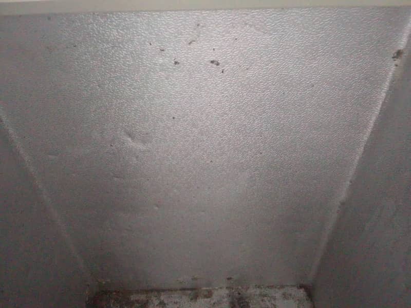 used D frizzier 7