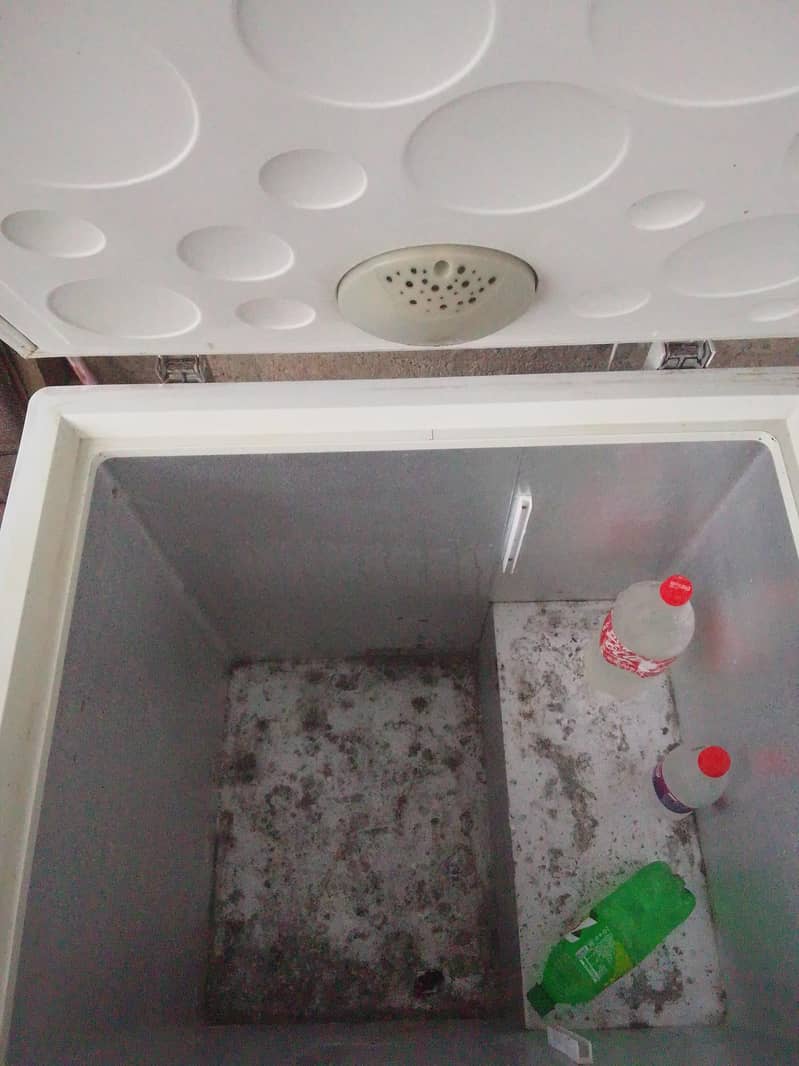 used D frizzier 10