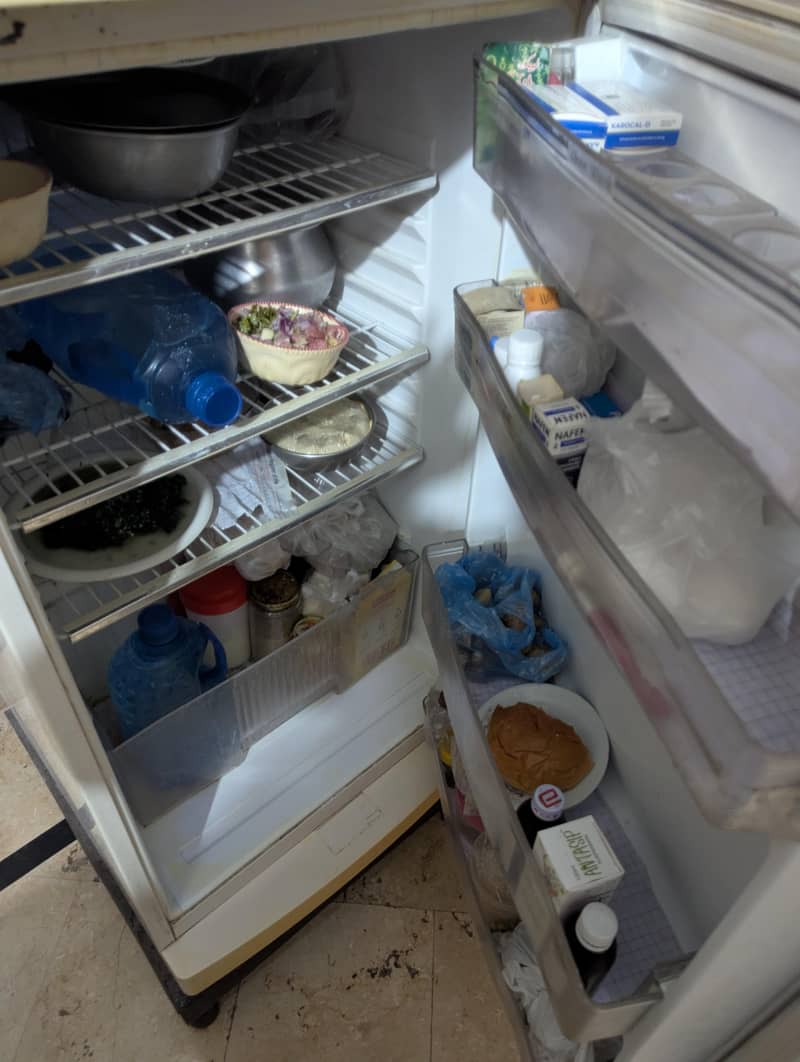 Waves Freezer 3