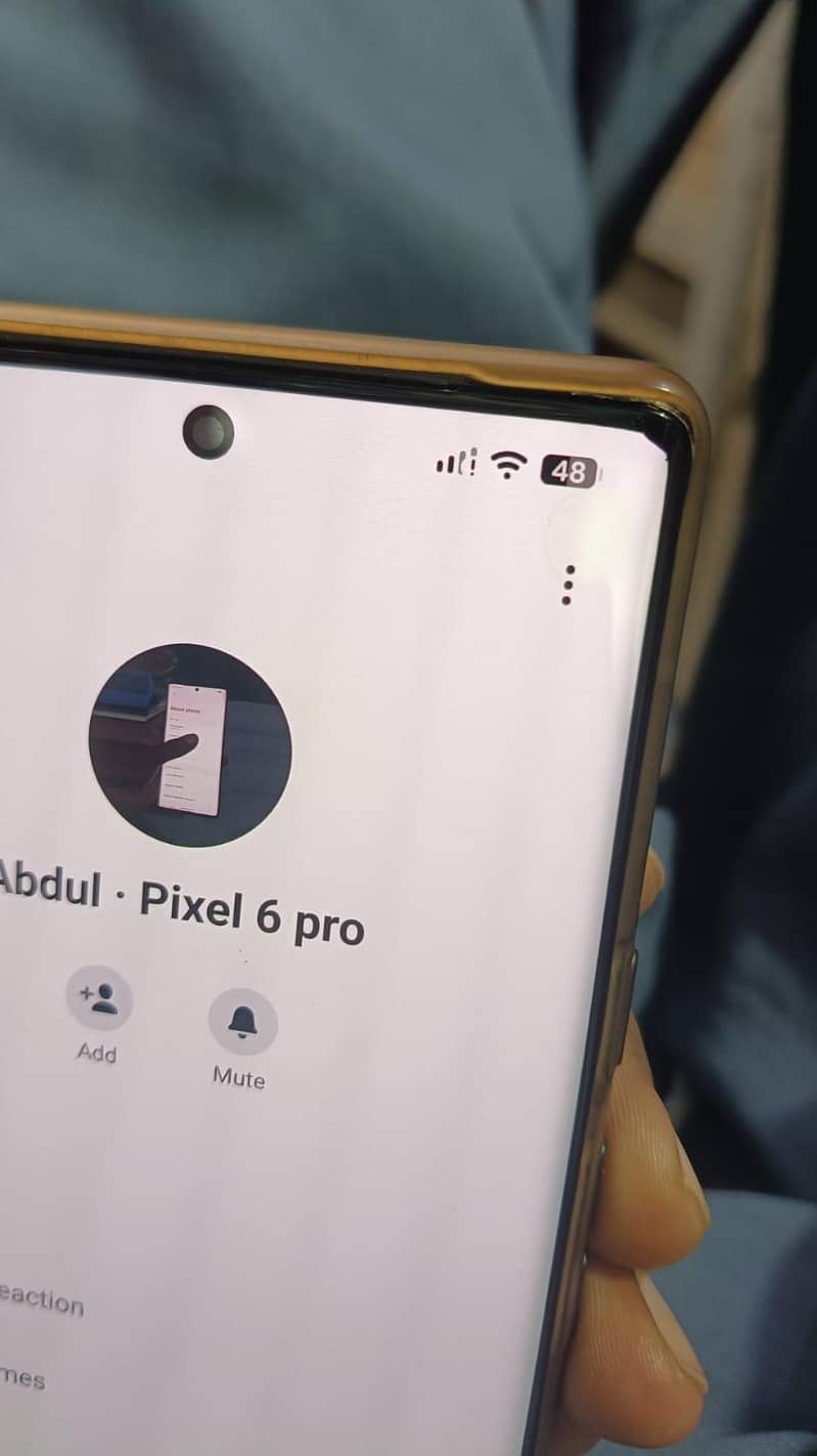 Google Pixel 6 Pro 6