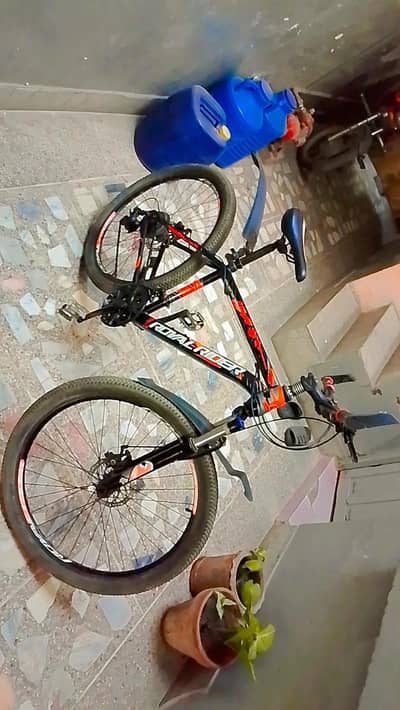 Royal Rider bicycle