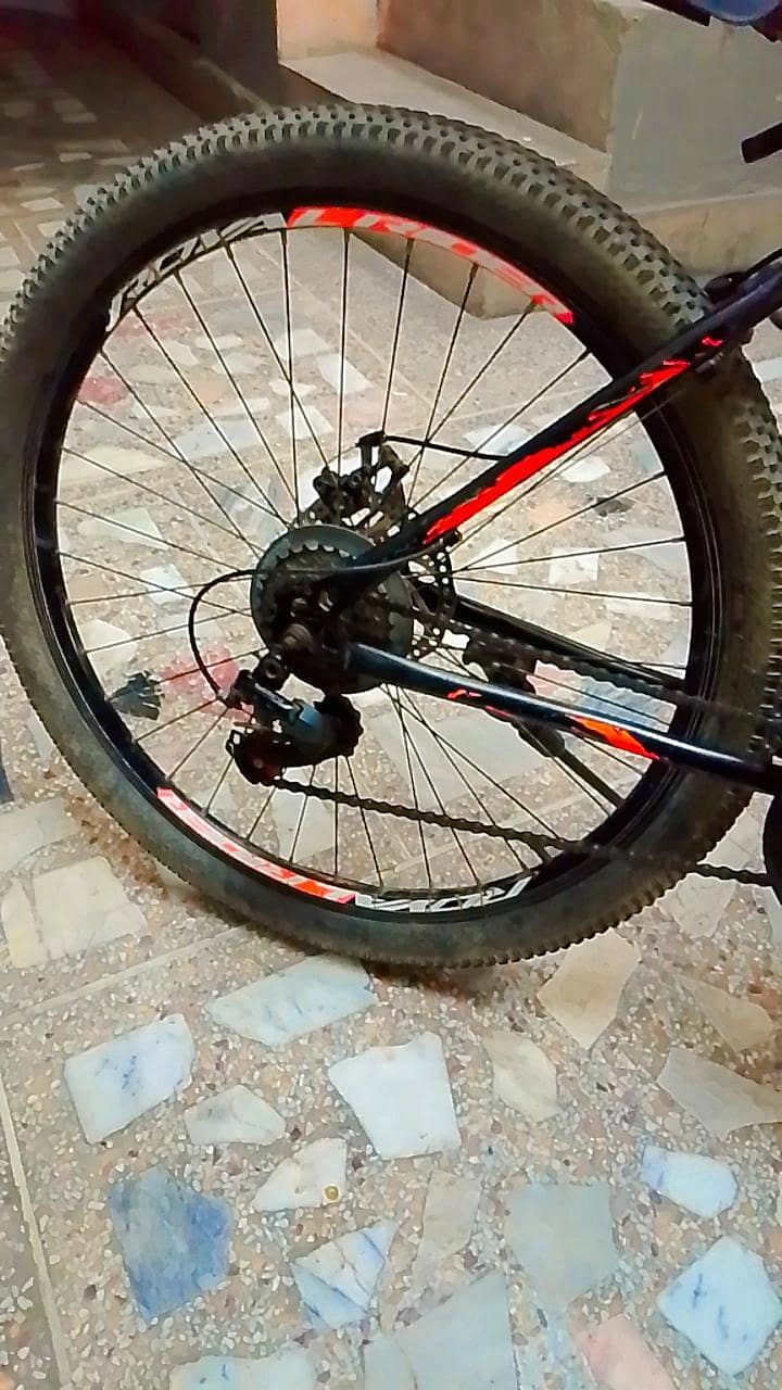 Royal Rider bicycle 1