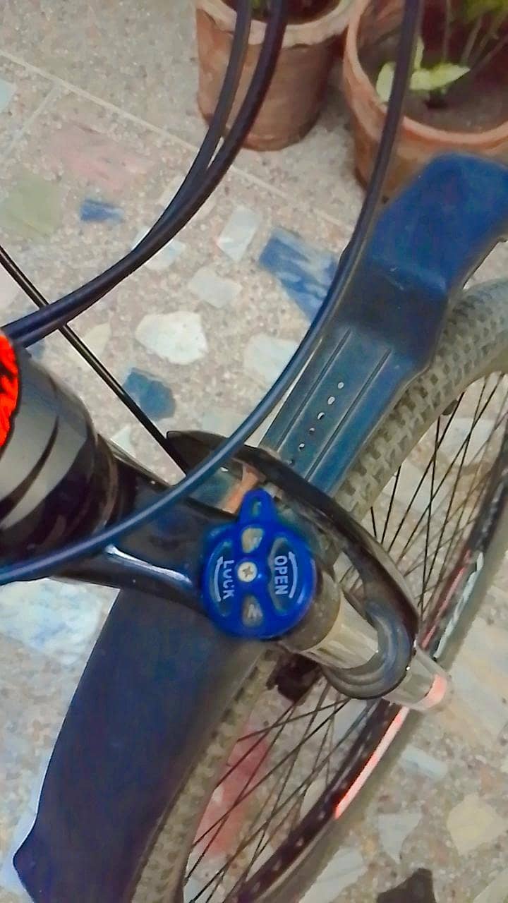 Royal Rider bicycle 2