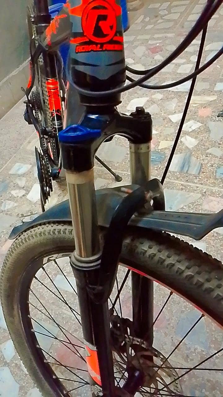 Royal Rider bicycle 3