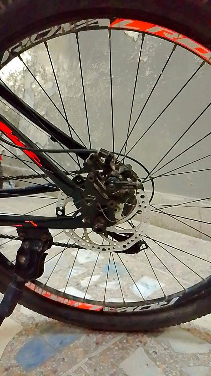 Royal Rider bicycle 5